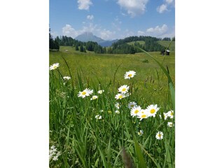Vakantieappartement Kiens Buitenaudio-opname 11