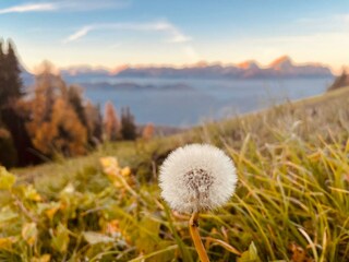 Appartamento per vacanze Kiens Registrazione all'aperto 18