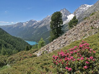 Appartamento per vacanze Kiens Ambiente 33