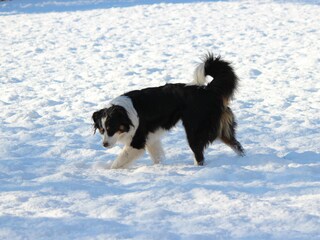 Appartamento per vacanze Kiens Ambiente 38