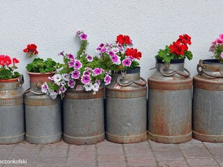 Appartamento per vacanze Kiens Registrazione all'aperto 5