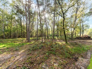 Vakantiehuis Hellendoorn Buitenaudio-opname 4