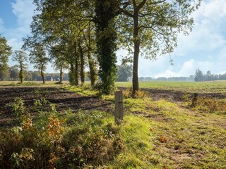 Casa per le vacanze Hellendoorn Ambiente 34