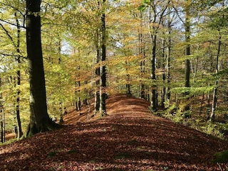 Vakantiehuis Höör  9