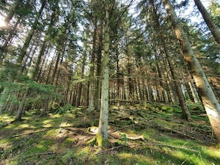 Maison de vacances Höör  12