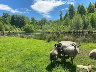 Vakantiehuis Höör  16