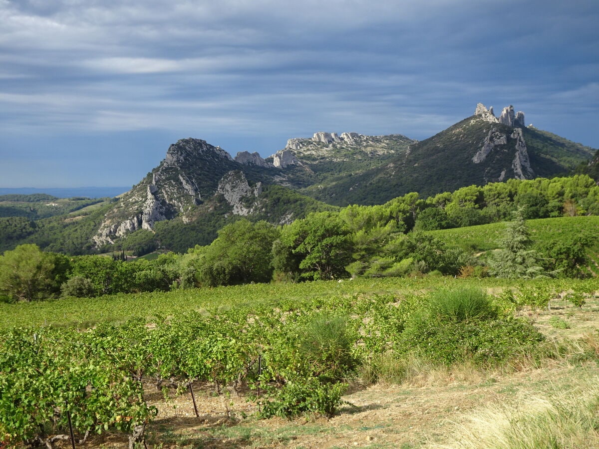 Dentelles de Montmirail