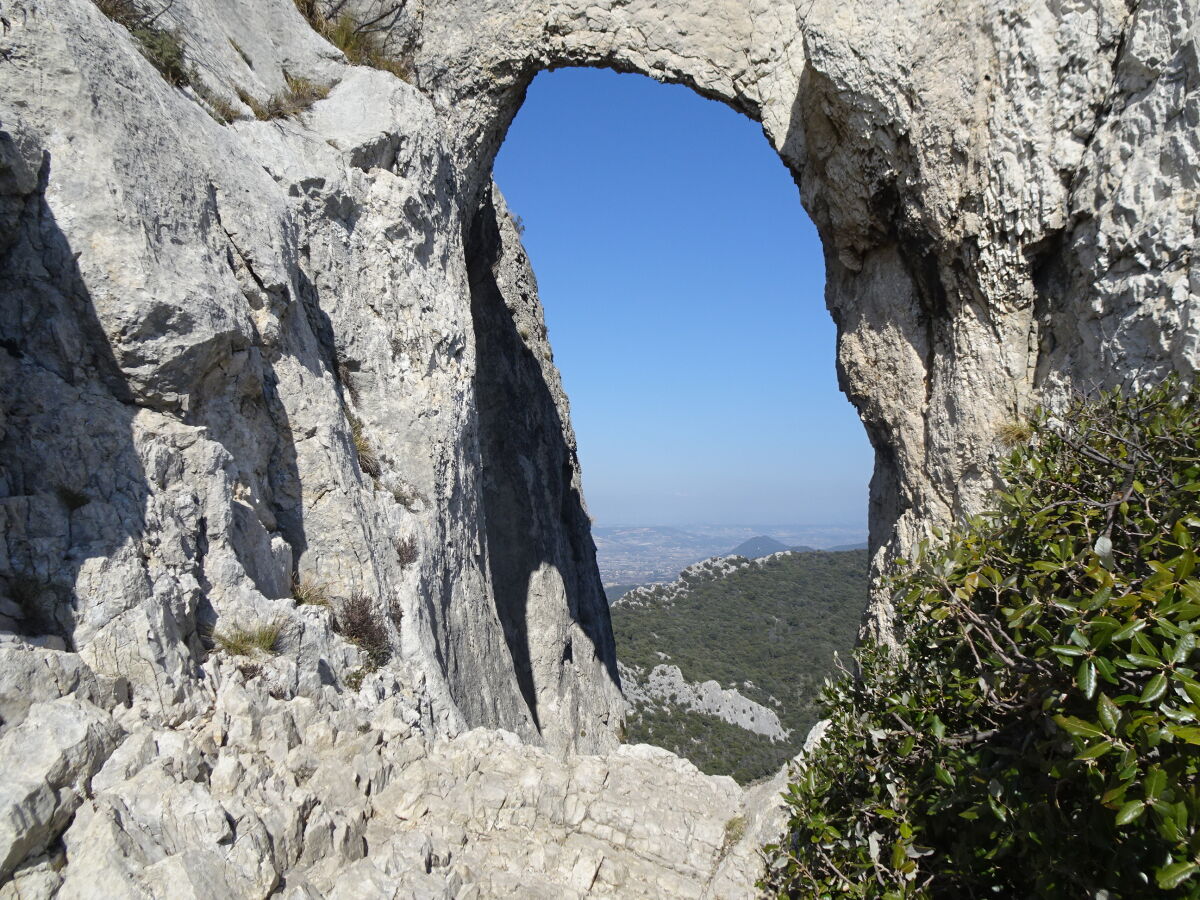 Dentelles de Montmirail