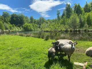Vakantiehuis Höör  9