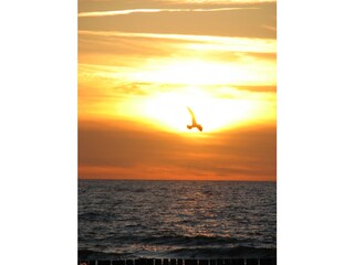 Sonnenuntergang am Zingster Strand
