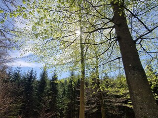 Vakantiehuis Höör  35