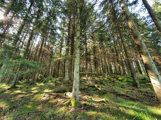 Maison de vacances Höör  11