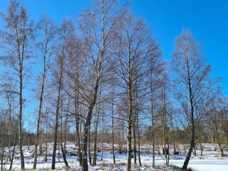 Ferienhaus Höör  9
