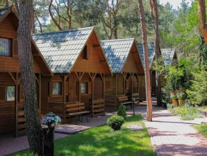 Ferienhaus Gemütliche Ferienhäuser in Strandnähe, Łazy - Podamirowo - image1