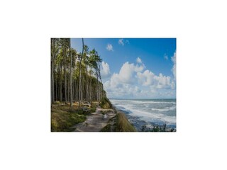 Holiday house Sarbinowo Environment 17