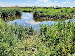 Vakantiehuis Billund  10