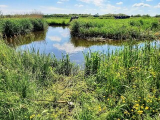 Maison de vacances Billund  9