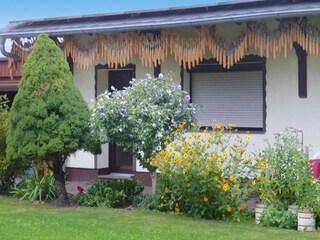 Bungaló Lübben Entorno 23