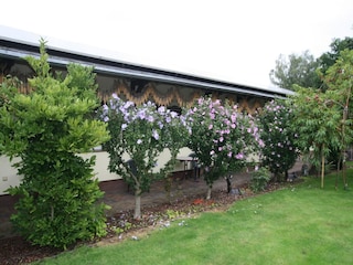 Bungalow Lübben Außenaufnahme 4