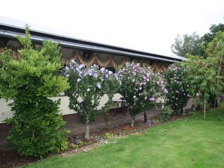 Bungalow Lübben Buitenaudio-opname 4