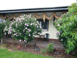 Bungalow Lübben Buitenaudio-opname 7