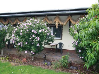 Bungaló Lübben Grabación al aire libre 2