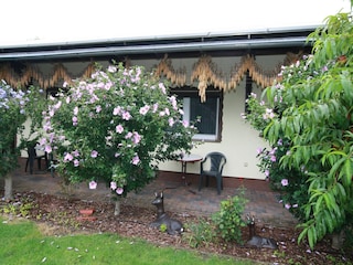 Bungalow Lübben Außenaufnahme 3