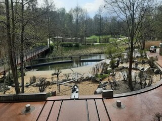 Bungalow Lübben Ambiente 15