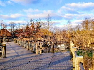 Bungalow Lübben Ambiente 17