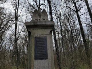 Bungaló Lübben Entorno 34