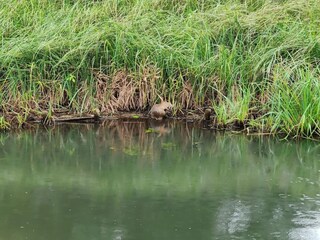 Bungalow Lübben Environnement 22