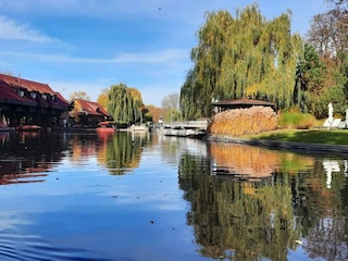 Bungalow Lübben Ambiente 21