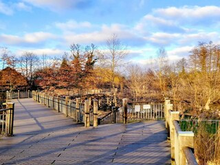 Bungaló Lübben Entorno 24