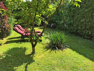 Holiday house Suhlendorf Outdoor Recording 8