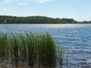 Ferienhaus Plau am See Umgebung 10