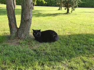 Vakantiehuis Plau am See Omgeving 9