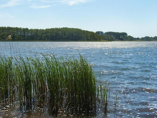 Casa per le vacanze Plau am See Ambiente 11