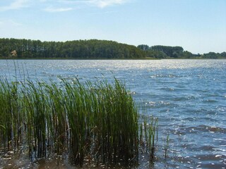 Vakantiehuis Plau am See Omgeving 11