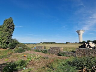 Holiday house Saint-Quay-Portrieux Outdoor Recording 8