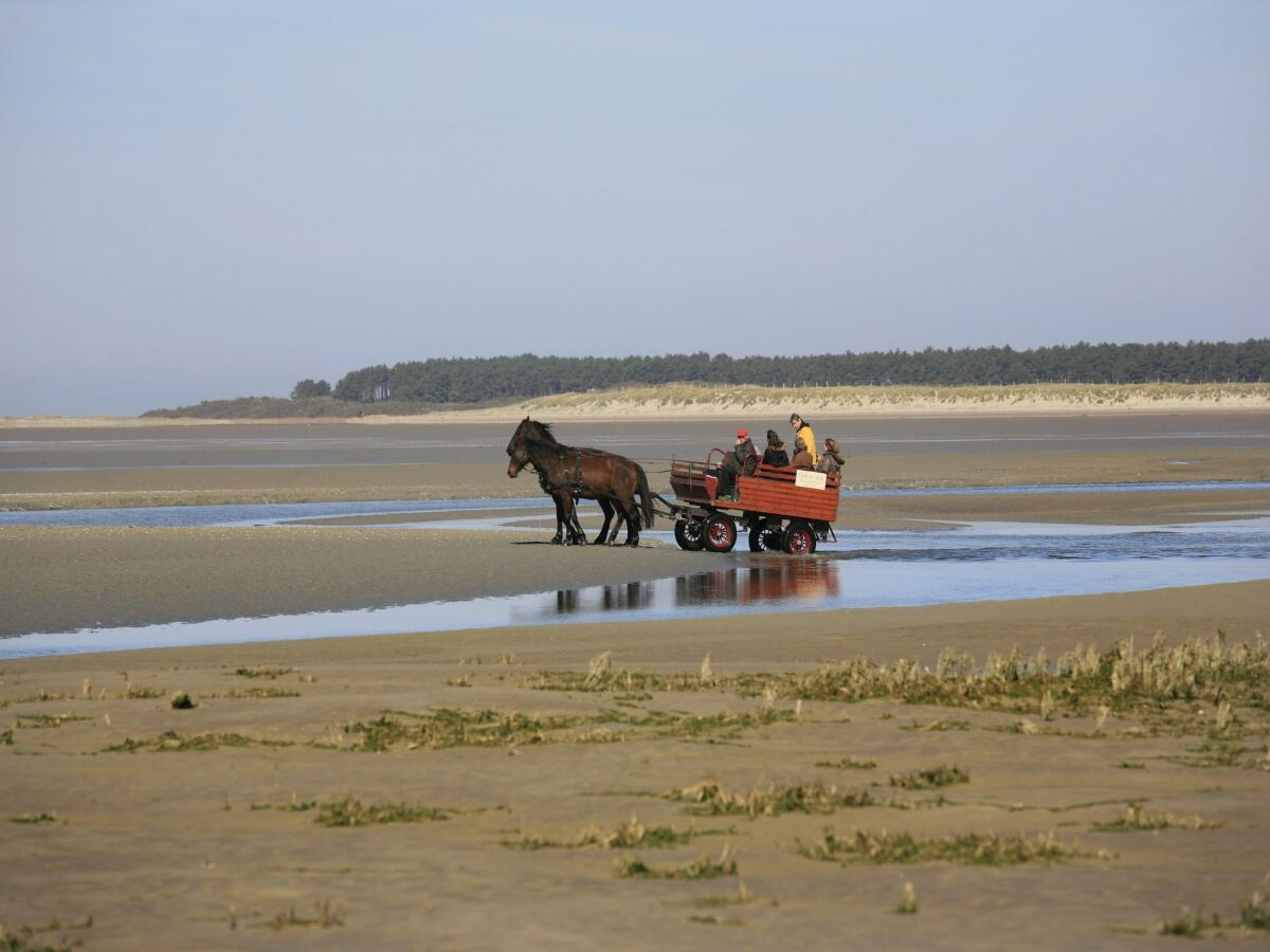 Apartment Cayeux-sur-Mer Umgebung 27