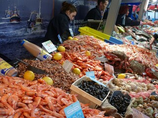 Appartement Cayeux-sur-Mer Environnement 26