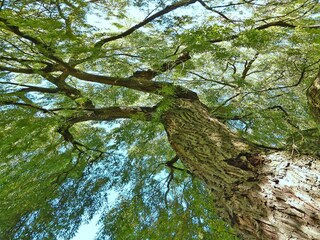 Vakantiehuis Bec-de-Mortagne Buitenaudio-opname 1