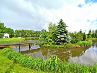 Ferienpark Grzybowo Außenaufnahme 5