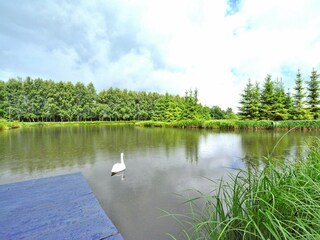 Parque de vacaciones Grzybowo  28