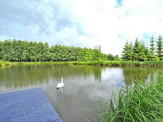 Parco vacanze Grzybowo  31