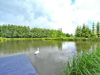 Vakantiepark Grzybowo  27