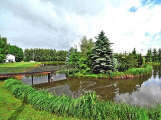 Parco vacanze Grzybowo  26