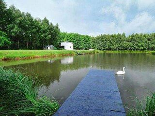 Parco vacanze Grzybowo  25