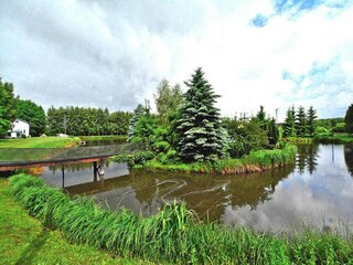 Parc de vacances Grzybowo  11