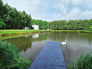 Parco vacanze Grzybowo  10